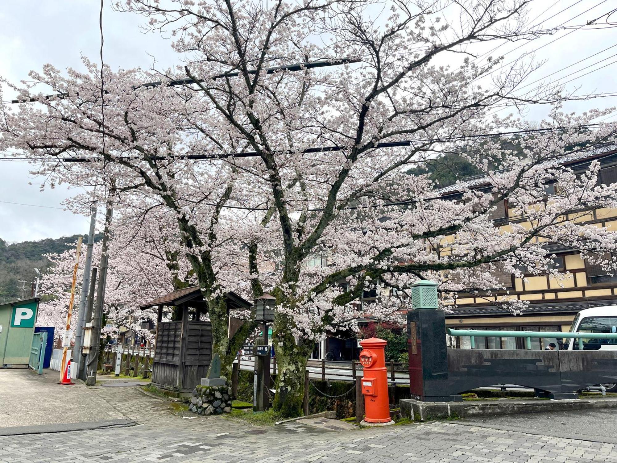 城崎温泉一棟貸し　旅宿yadokari Toyooka  Zewnętrze zdjęcie